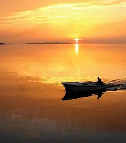 Daire New Sunset