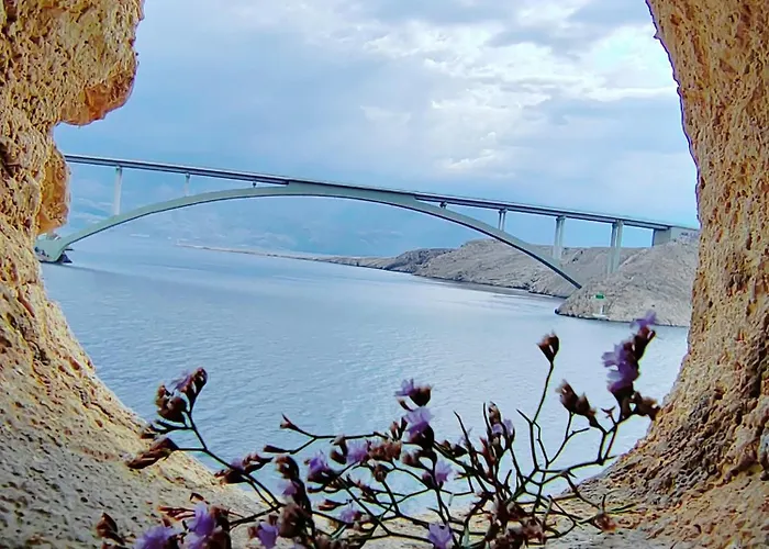 New Sunset Apartment