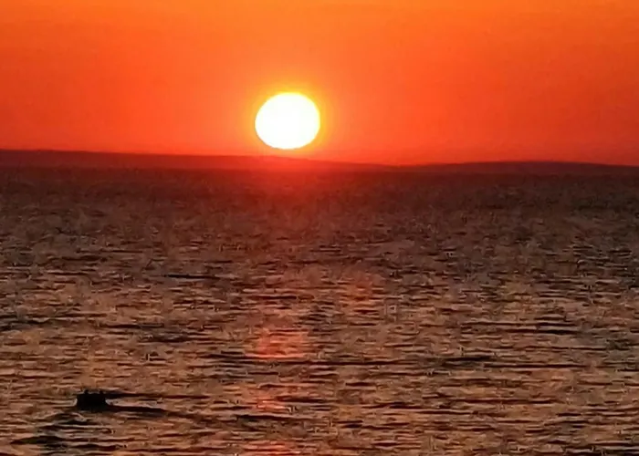 New Sunset *